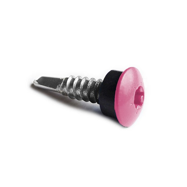 Facadeskrue/overlapskrue corona lilla ralfarver RXB t/stål 5,5x25 TX20 EPDMB 250 stk/pakke