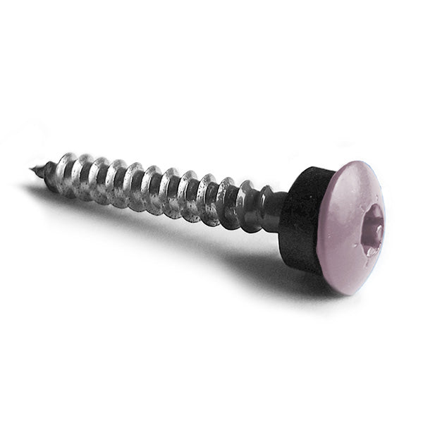 Facadeskrue/overlapskrue corona lilla ralfarver RXB t/træ 4,8x60 TX20 EPDMB 100 stk/pakke